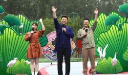 大理凯文最新爆料视频在线观看,揭秘幕后真相，精彩瞬间不容错过